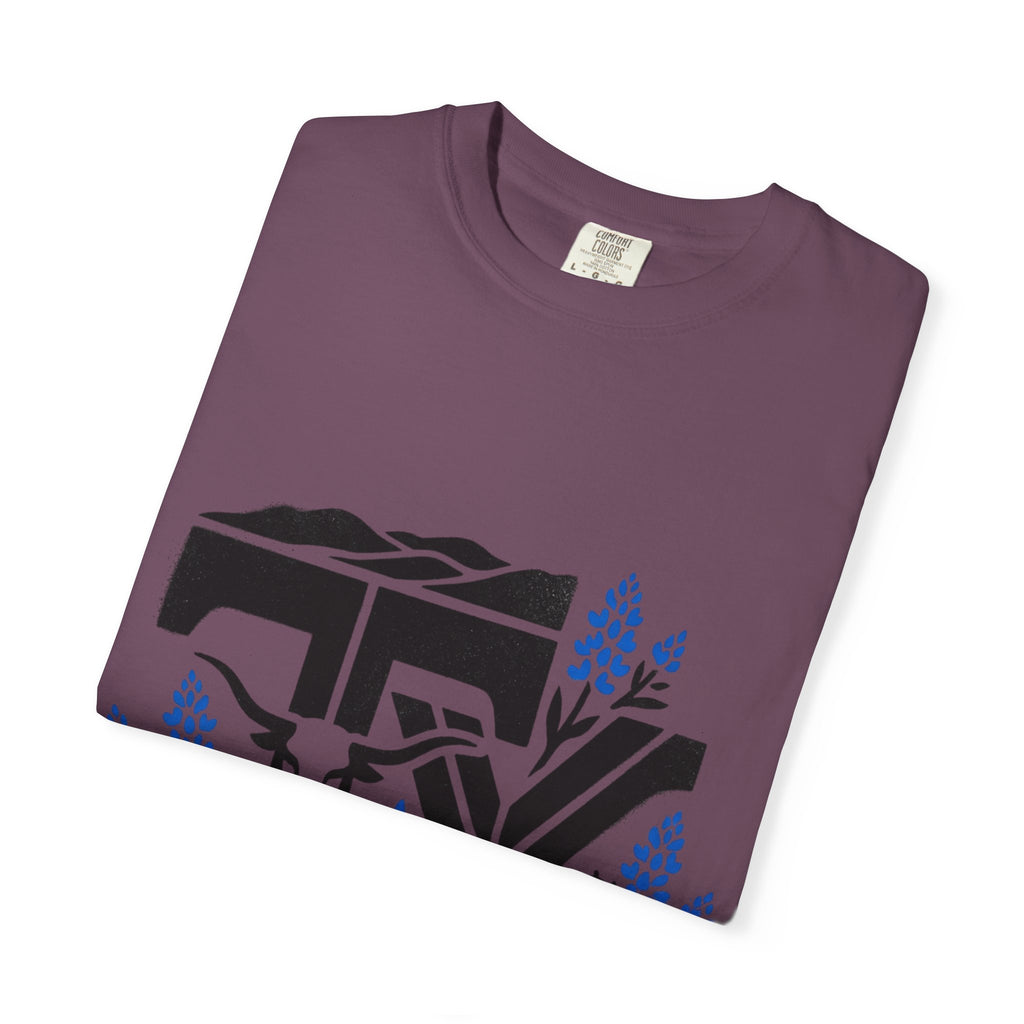 OurStateTees - TX Texas Southwestern Tee — Longhorn, Armadillo & Bluebonnet Graphic T-Shirt